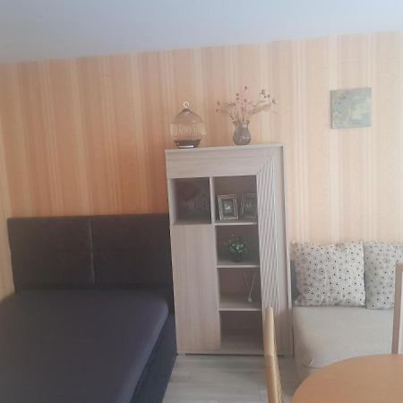 Danes Apartment By The River クライペダ エクステリア 写真