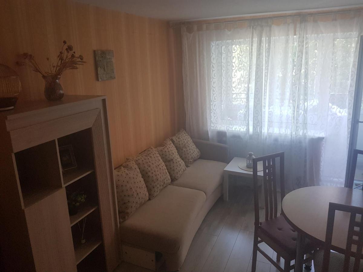 Danes Apartment By The River クライペダ エクステリア 写真