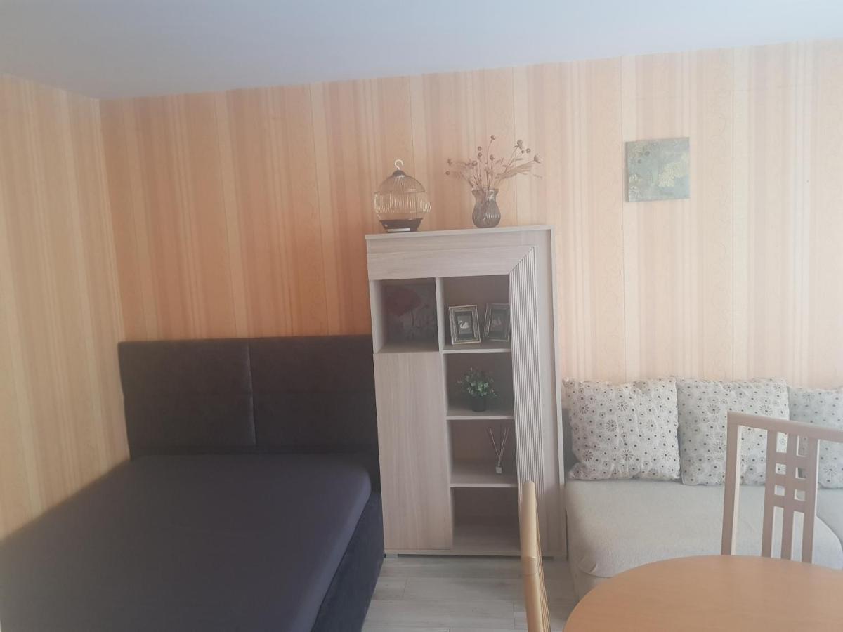Danes Apartment By The River クライペダ エクステリア 写真